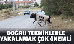 Kaçan kurbanları doğru tekniklerle yakalamak çok önemli