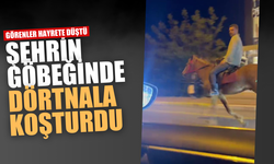Şehrin göbeğinde bu manzarayı görenler hayrete düştü