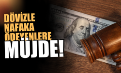 Yargıtay'dan dövizle nafaka ödeyenlere müjde