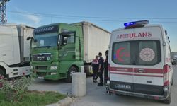 Edirne'de tır sürücüsü aracında ölü bulundu