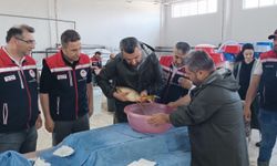 Üretim tesisinde 10 milyon 500 bin balık yavrusu yetiştirilmesi hedefleniyor