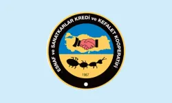 Esnaf ve Sanatkârların Genel Kurul Çağrıları Artık Resmî İlan Sayılacak
