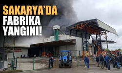 Sakarya'da fabrika yangını