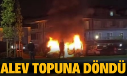 Hafif ticari araç alev topuna döndü