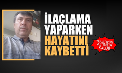 Bahçede ilaçlama yaparken hayatını kaybetti