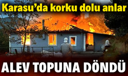 Karasu'da korku dolu anlar! Alev topuna döndü