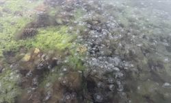 Karadeniz'de tehlike çanları çalıyor...