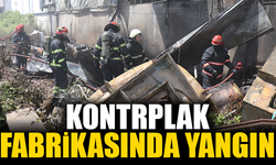 Kontrplak fabrikasında yangın çıktı!
