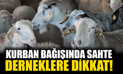 Kurban bağışında "sahte dernek" uyarısı