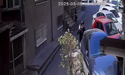 Park halindeki araca taş ve yumruklarla saldırdı
