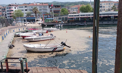 Karamürsel sahili müsilajla kaplandı