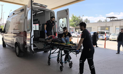 Üzüm yaprağı toplarken çatıdan düştü