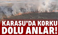 60 dönüm arazi zarar gördü