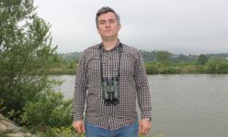 Sakarya'da su samuru fotokapanla görüntülendi