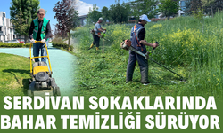 Serdivan Sokaklarında Bahar Temizliği Tüm Hızıyla Devam Ediyor