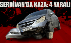 Serdivan'da kaza: 4 yaralı