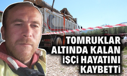 Tomruklar Altında Kalan İşçi Hayatını Kaybetti
