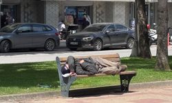 Güneşi Gören Vatandaş Bankta Şekerleme Yaptı
