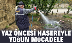 Serdivan Belediyesi'nden Yaz Öncesi Haşereyle Yoğun Mücadele
