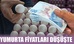 Yumurta Fiyatlarında Dikkat Çeken Düşüş: 30’lu Kolinin Fiyatı 100 TL’ye Kadar Geriledi
