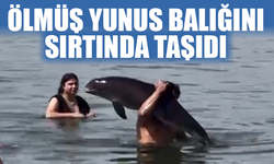 Ölmüş yunus balığını sırtında taşıdı