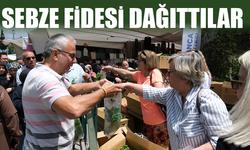 Üretime destek için sebze fidesi dağıttılar