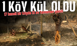 17 Haneli Köyde 13 Ev Kül Oldu