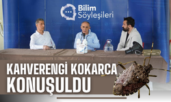 Sakarya'da 'kokarca' seferberliği