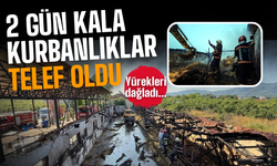 Yürekleri dağlayan yangın: Kurbanlıklar telef oldu