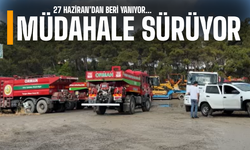 Sakarya'daki yangına müdahale sürüyor