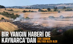 Sakarya'da 2 noktada daha anız yangını