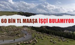 60 bin TL maaşa işçi bulamıyor!