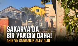 Sakarya'da bir yangın daha!