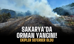 Sakarya'da ormanlık alanda yangın!