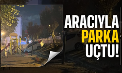 Kontrolden çıktı parka uçtu!