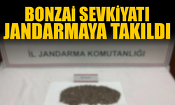 Bon*zai Sevkiyatı Jandarmaya Takıldı