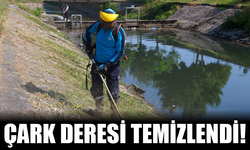 Haberimiz Ses Getirdi: SASKİ, Çark Deresini Temizledi