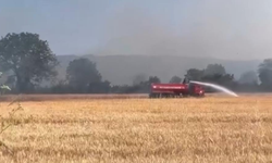 Merada Çıkan Yangın Rüzgarın Etkisiyle Büyüdü