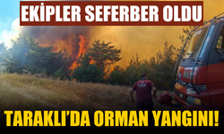 Taraklı’da Orman Yangını: Helikopterden Görüntülendi