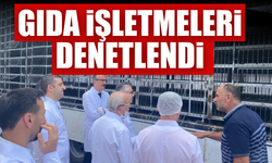 Sakarya'da gıda işletmelerine denetim!