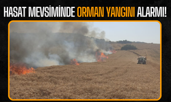 Hasat Mevsiminde Orman Yangını Alarmı: İnsan İhmali Ormanları Tehdit Ediyor