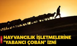 Hayvancılık İşletmelerine 3 Yabancı Çoban Çalıştırma İzni! Başvurular Başladı