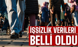 TÜİK Mayıs 2025 tarihli işsizlik verilerini açıkladı