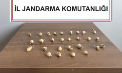 Midesinden 28 Kapsül Uy*şturucu Çıktı