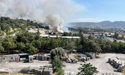 İzmir’de Yangın Alarmı: Ormanı Sardı