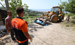 Kurban Atıkları Anında Toplanıyor
