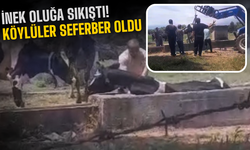 Su İçmek İsterken Oluğa Sıkıştı
