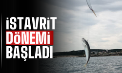 Karasu ve Kaynarca’da İstavrit Bereketi
