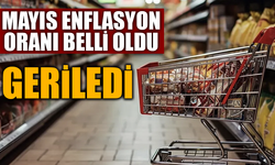 Mayıs enflasyon oranı belli oldu