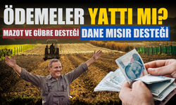 Çiftçilere Müjde!  5,5 Milyar Liralık Destek Ödemesi Hesaplara Yattı mı?